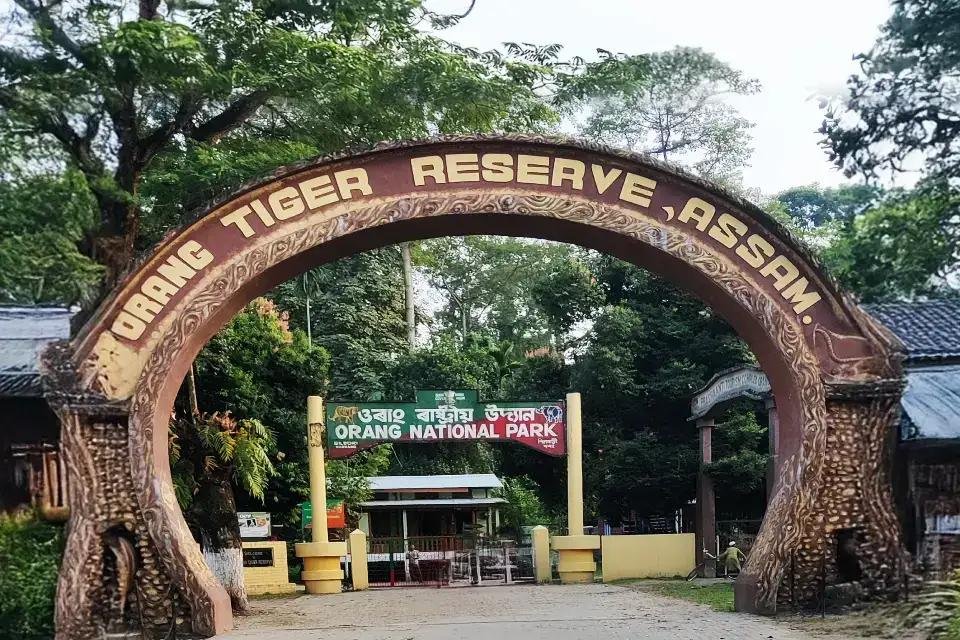 Orang National Park: Assam’s Mini Kaziranga and a Tiger Reserve Gem